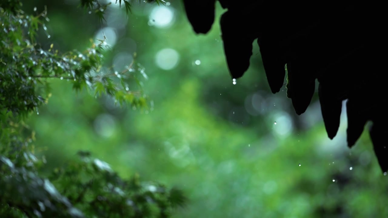 中式园林 下雨屋檐雨水滴落唯美空镜视频下载