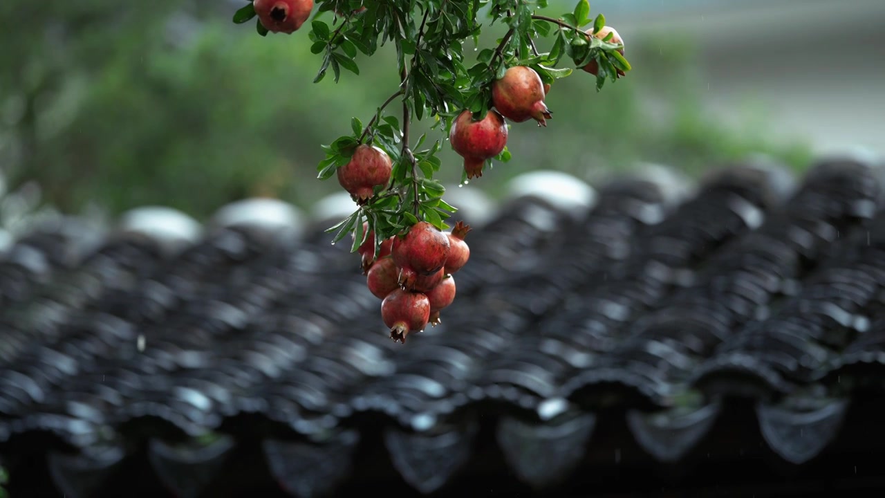 中式园林 下雨屋檐雨水滴落唯美空镜视频素材