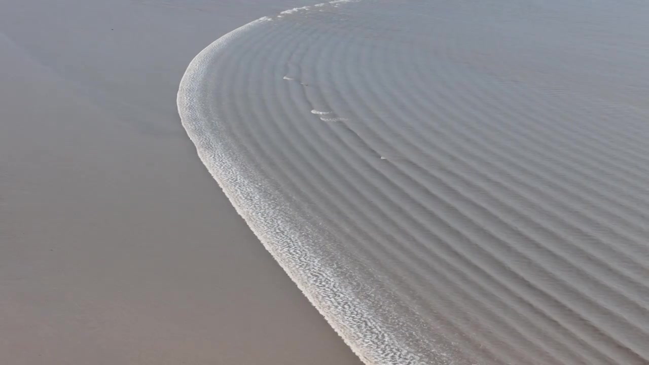 航拍浙江钱塘江大潮，钱塘潮壮观景象视频素材