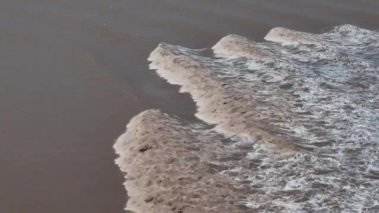 航拍浙江钱塘江大潮，钱塘潮壮观景象视频素材