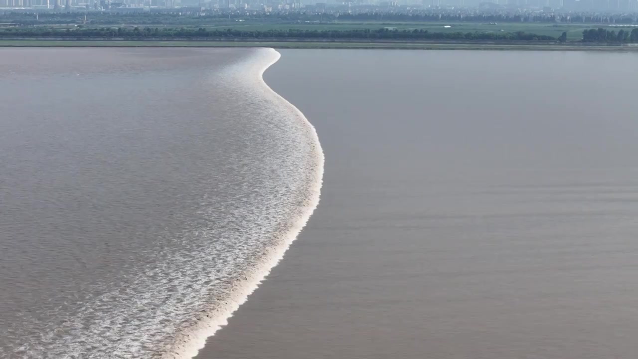 航拍浙江钱塘江大潮，钱塘潮壮观景象视频素材