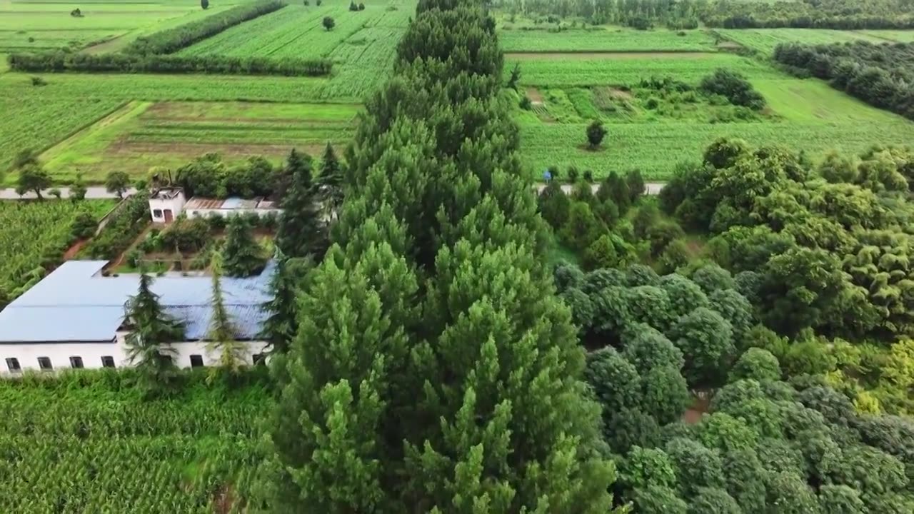 陕西西安鄠邑区乡村林荫小路视频素材