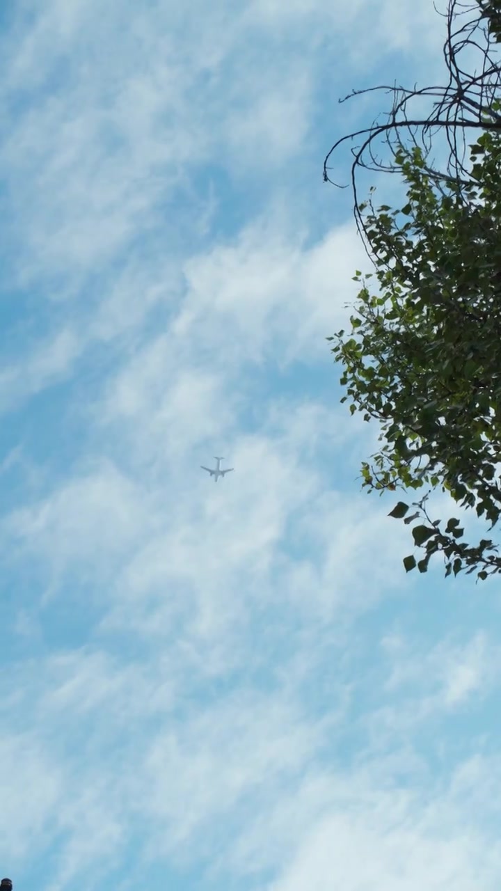 天空 飞机 蓝天 4K素材 仰拍视频下载