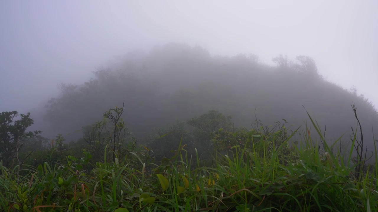 山峰云雾缥缈视频下载