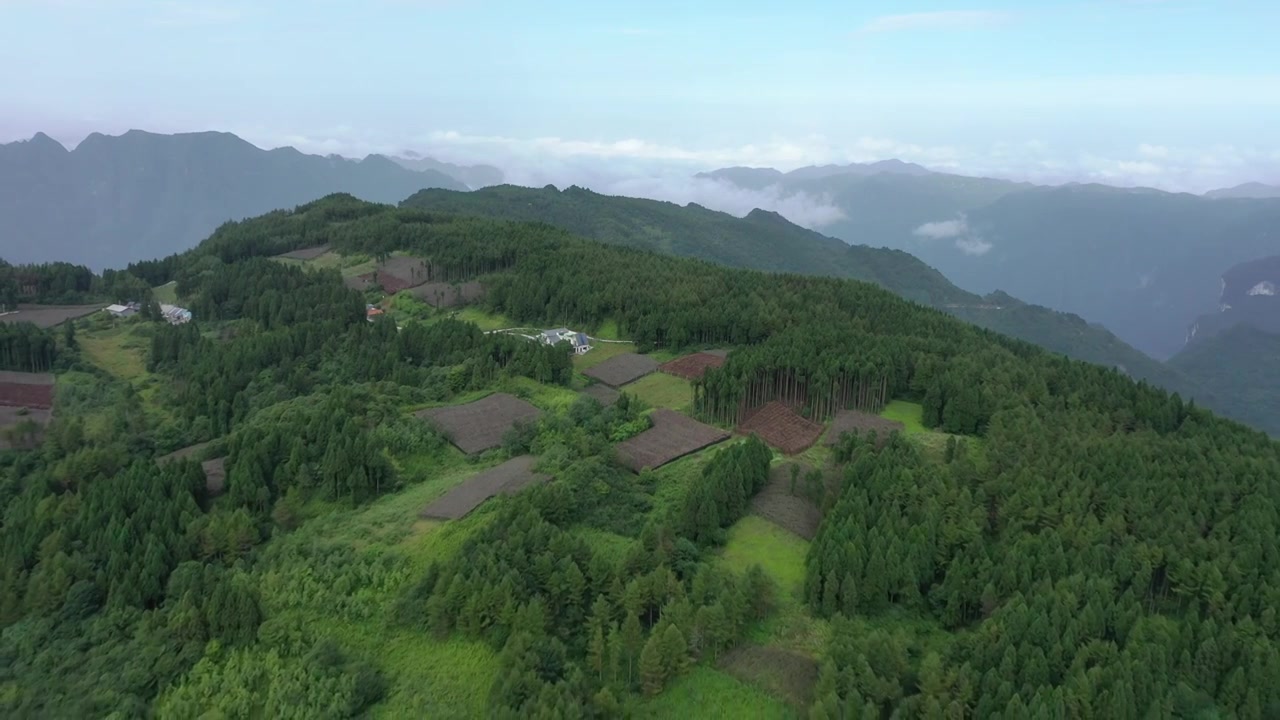 航拍湖北恩施新塘乡太山庙黄连种植基地视频下载