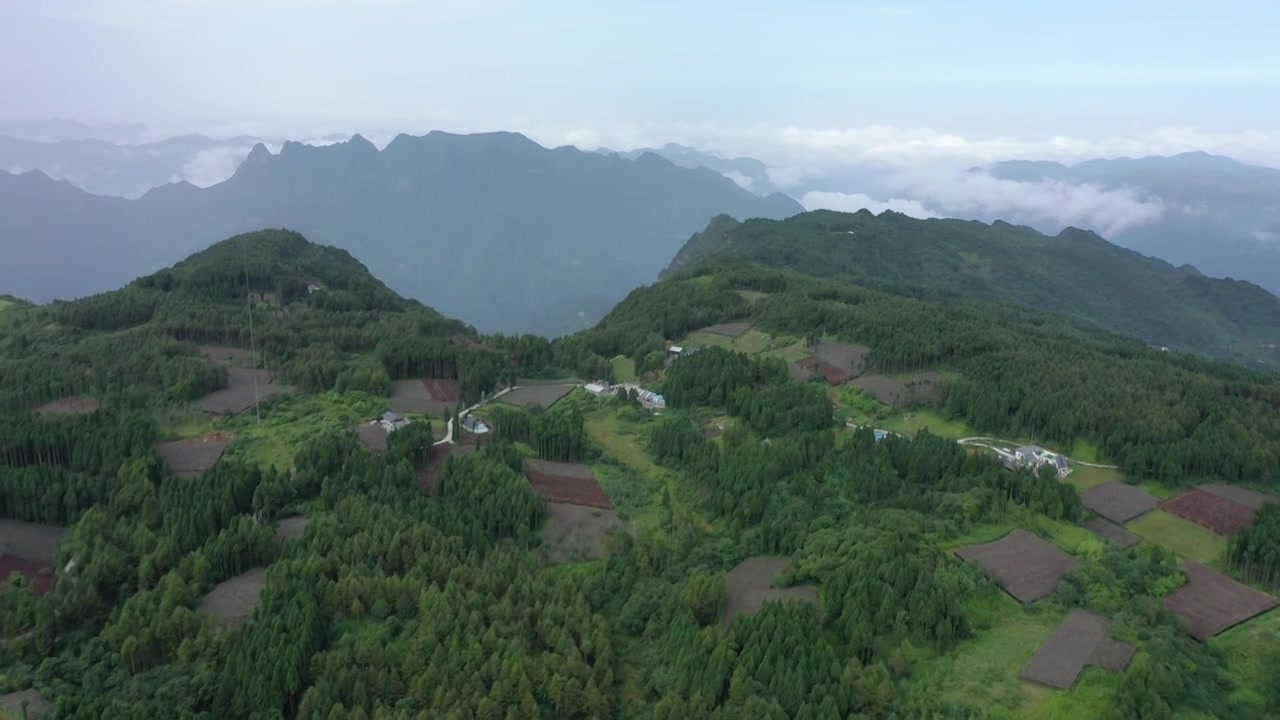 航拍湖北恩施新塘乡太山庙黄连种植基地视频下载