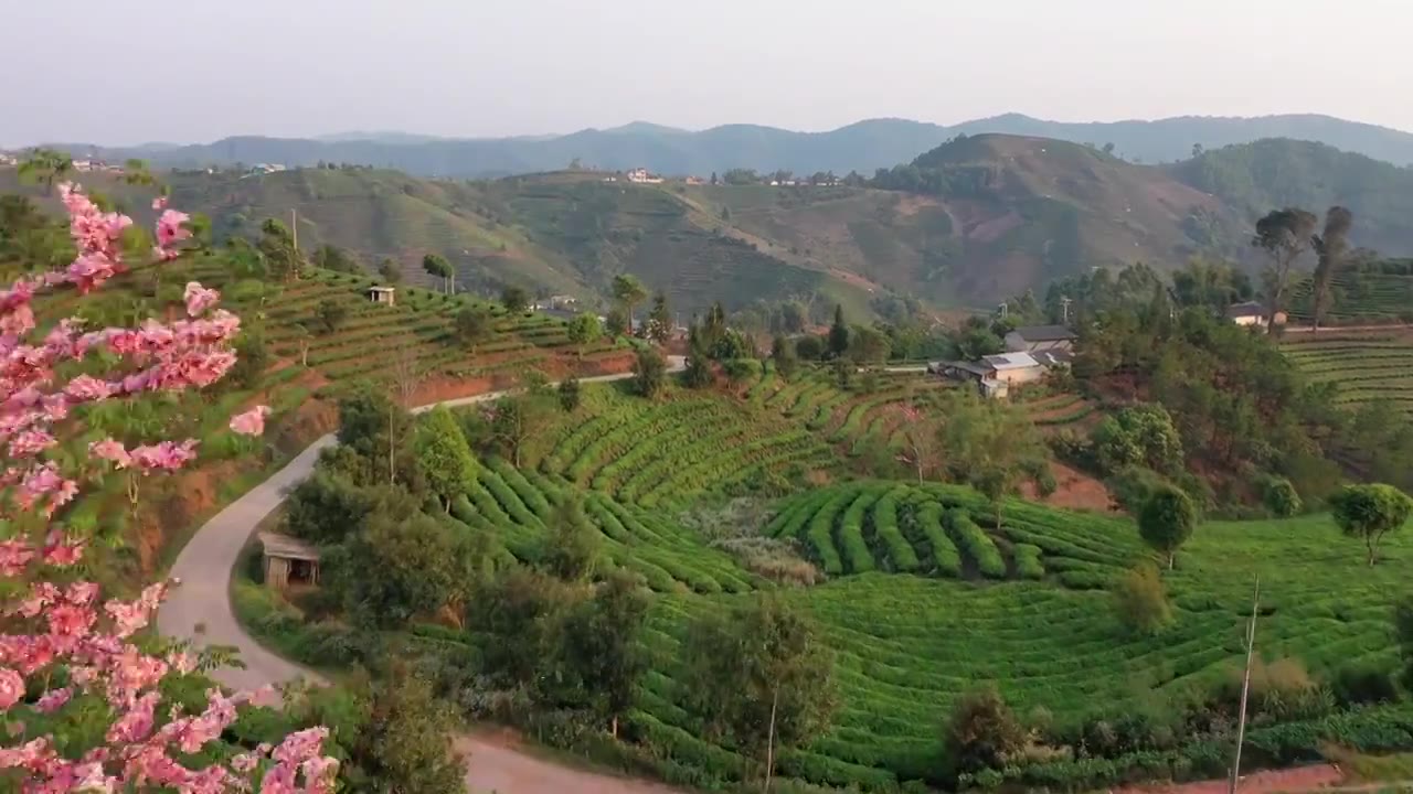 云南普洱市中华普洱茶博苑视频素材