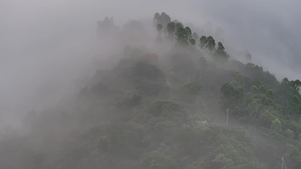 广州增城师爷增江山日出云海瀑布云视频下载