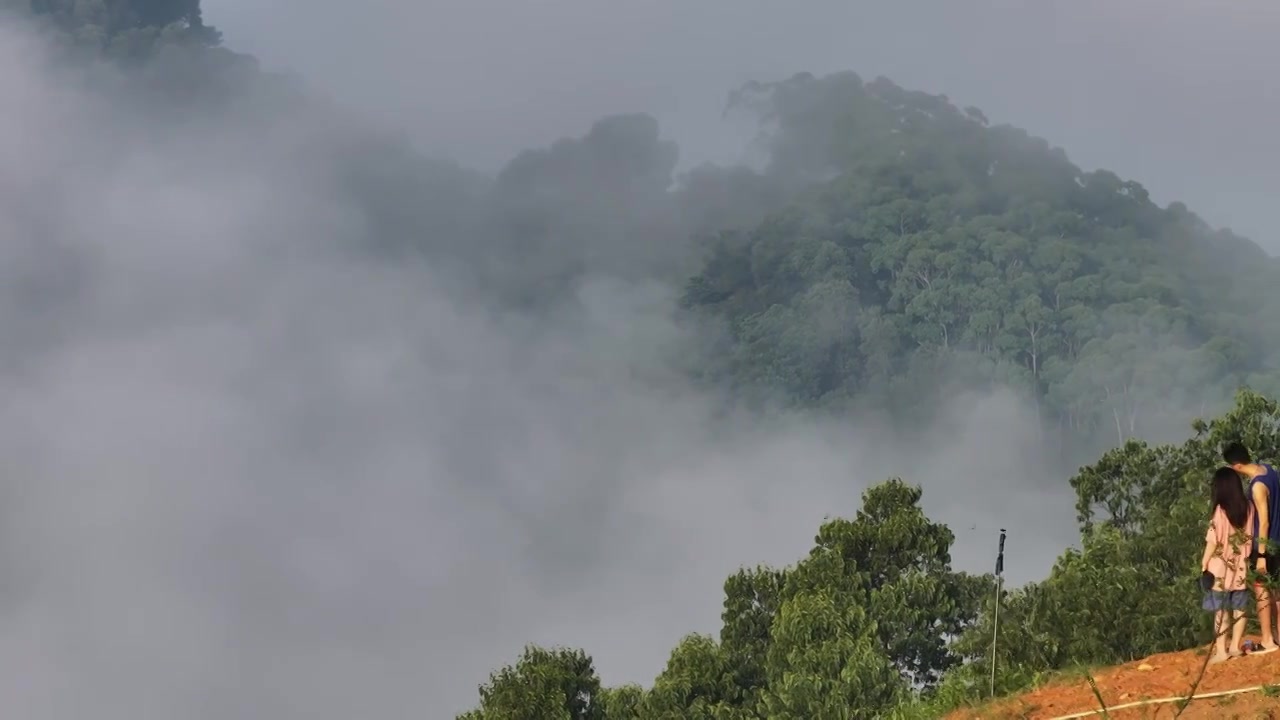 广州增城师爷增江山日出云海瀑布云视频下载