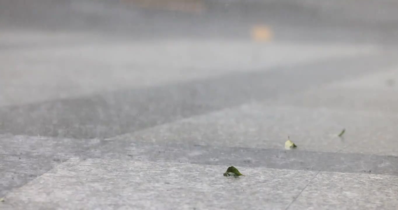 公园里突如其来的一场暴雨视频下载