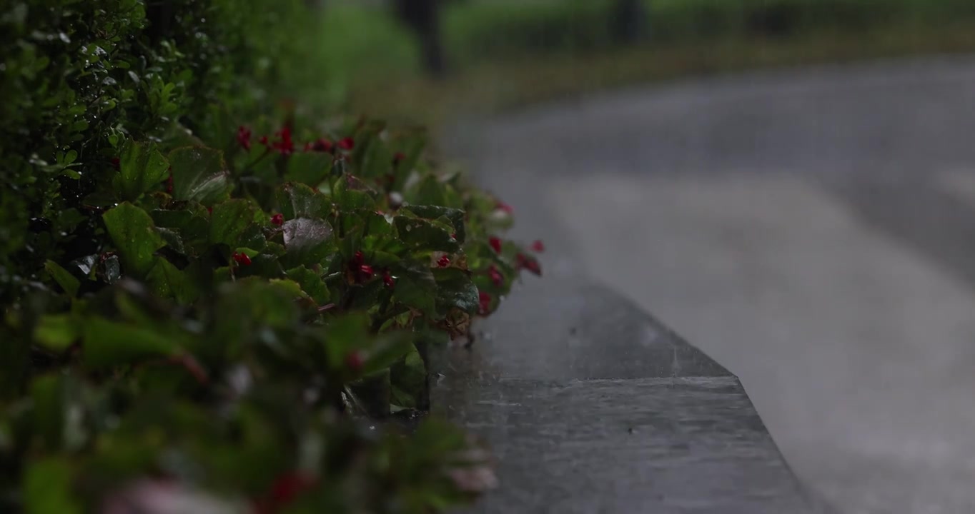 公园里突如其来的一场暴雨视频下载