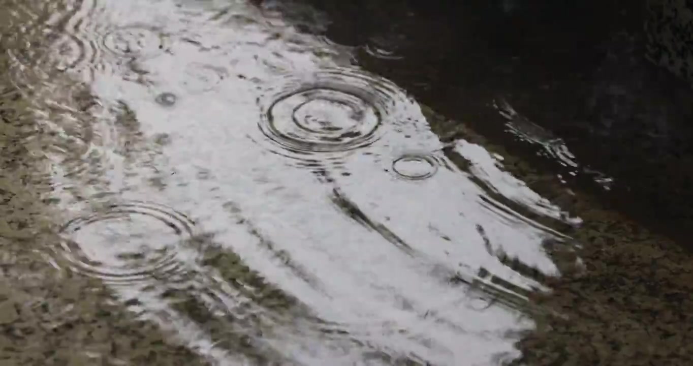 公园里突如其来的一场暴雨视频下载