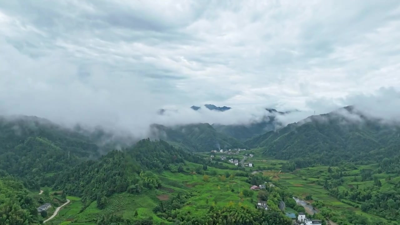 绿色山村清晨森林延时视频素材