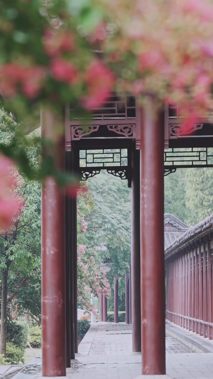 （竖屏）绿植 雨中紫薇花 意境慢镜空镜视频素材