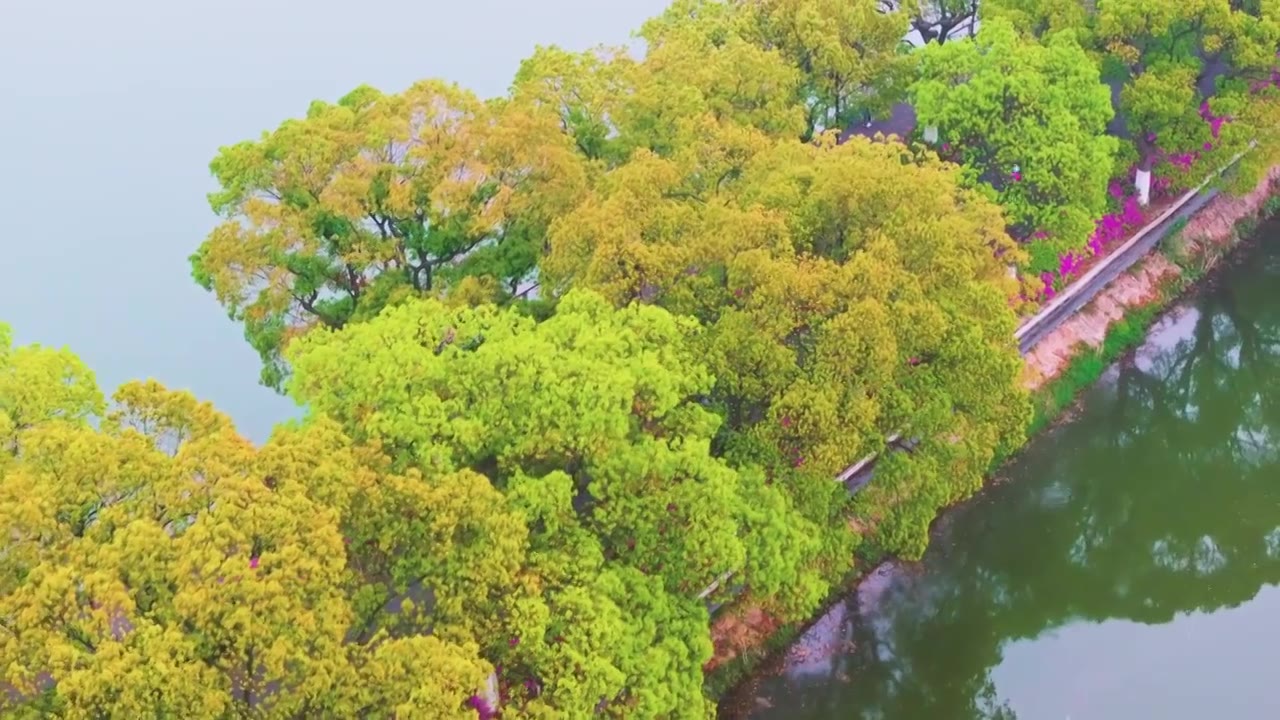 武汉东湖风景区夏季风光视频素材