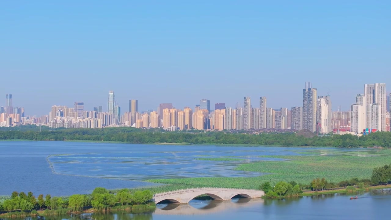 武汉东湖风景区夏季风光视频素材