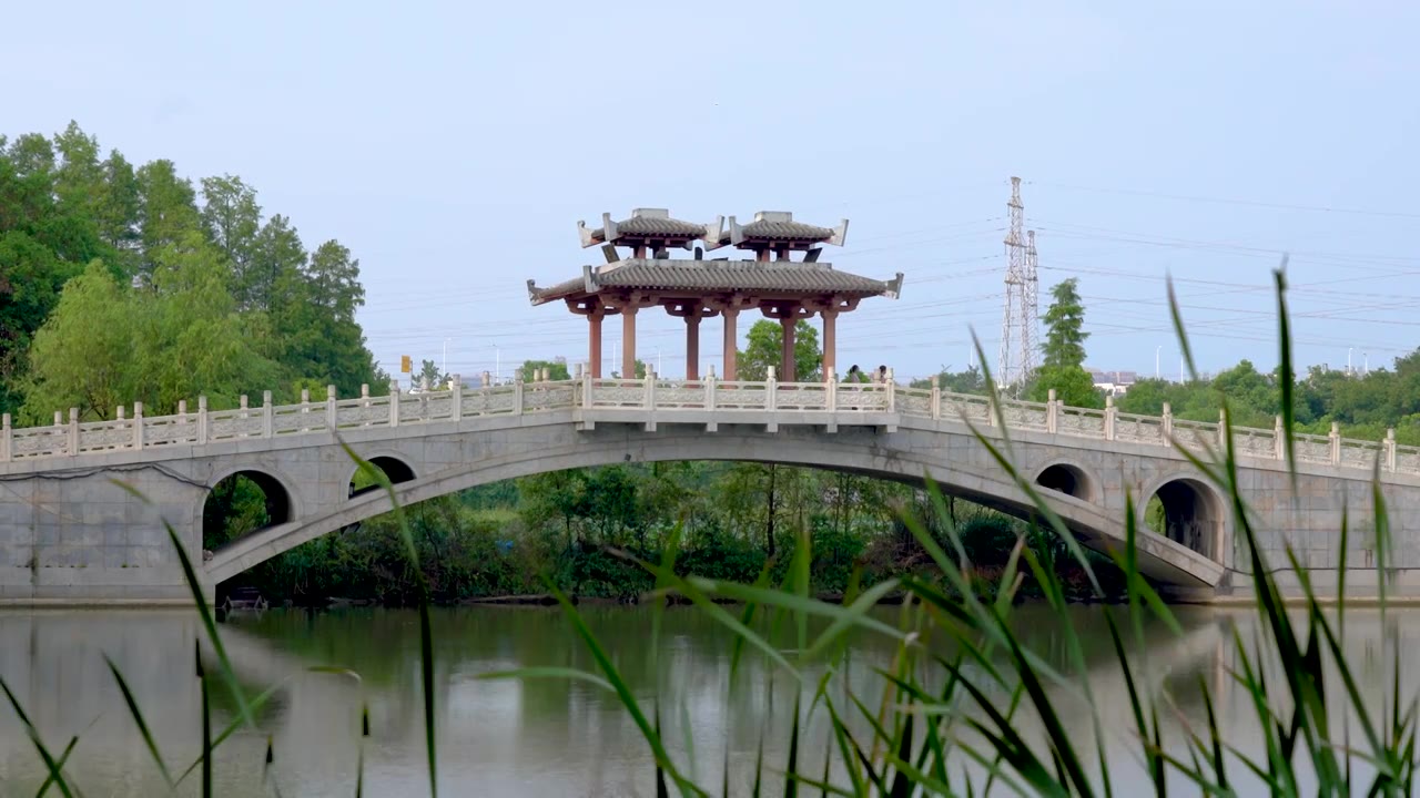 武汉东湖落雁岛风景区鹊桥风吹草动唯美慢镜空镜视频素材