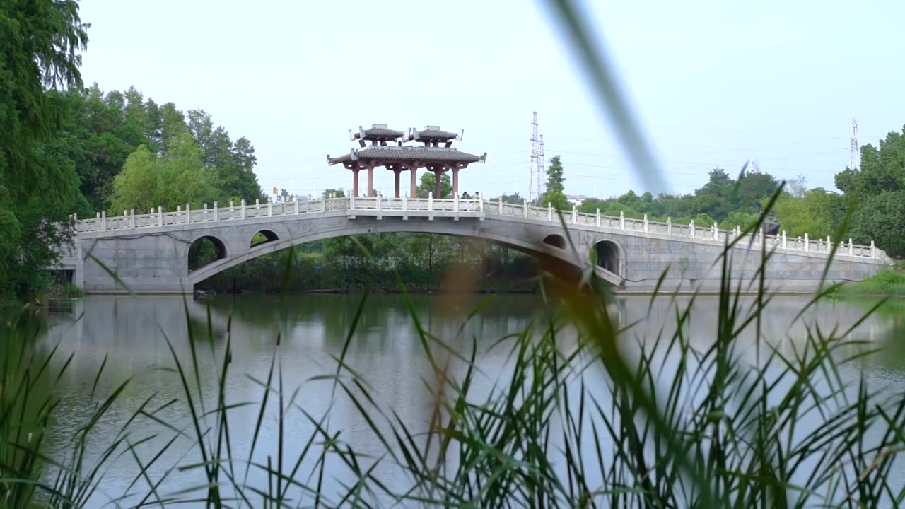 武汉东湖落雁岛风景区鹊桥风吹草动唯美慢镜空镜视频素材