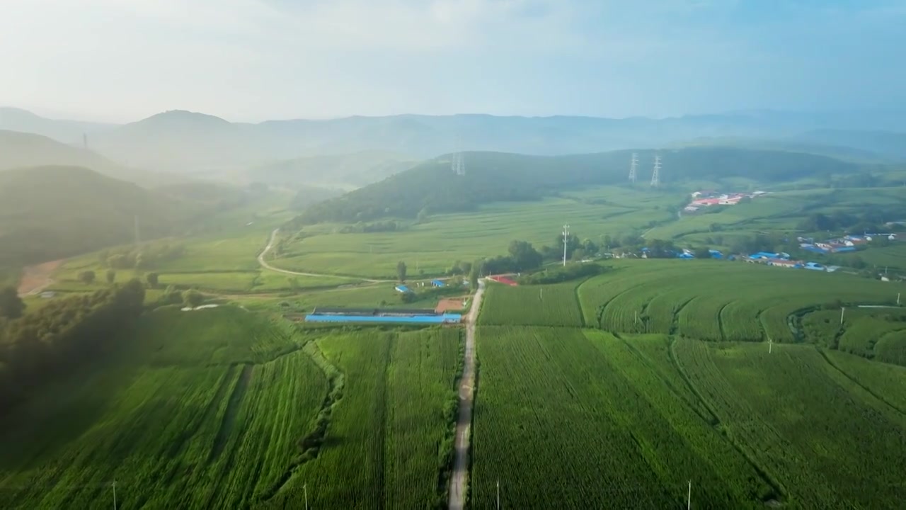 辽宁省阜新市阜新县沙拉镇哈桃村夏日风光（航拍）视频素材