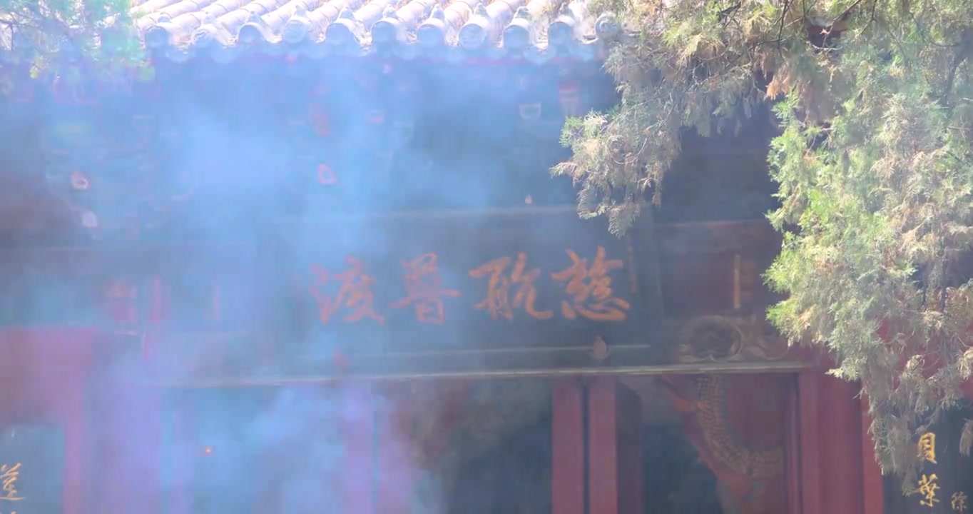 洛阳白马寺大雄殿前的香火视频素材