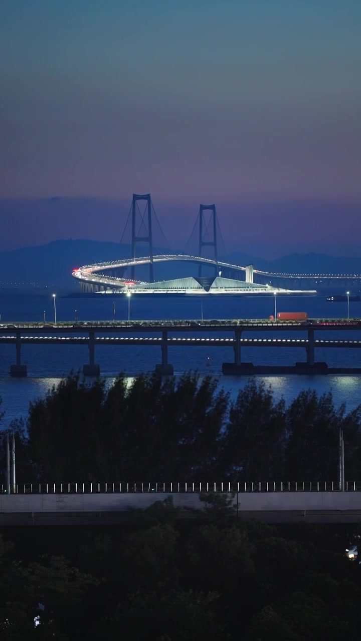 深中大桥与列车同框夜景竖屏视频素材