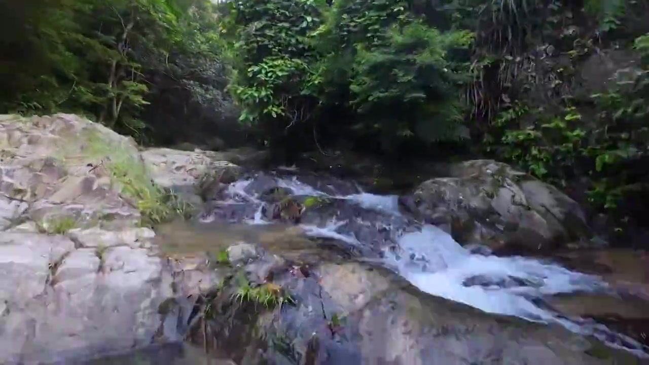 航拍深圳梧桐山麻水凤林间小溪风光视频素材