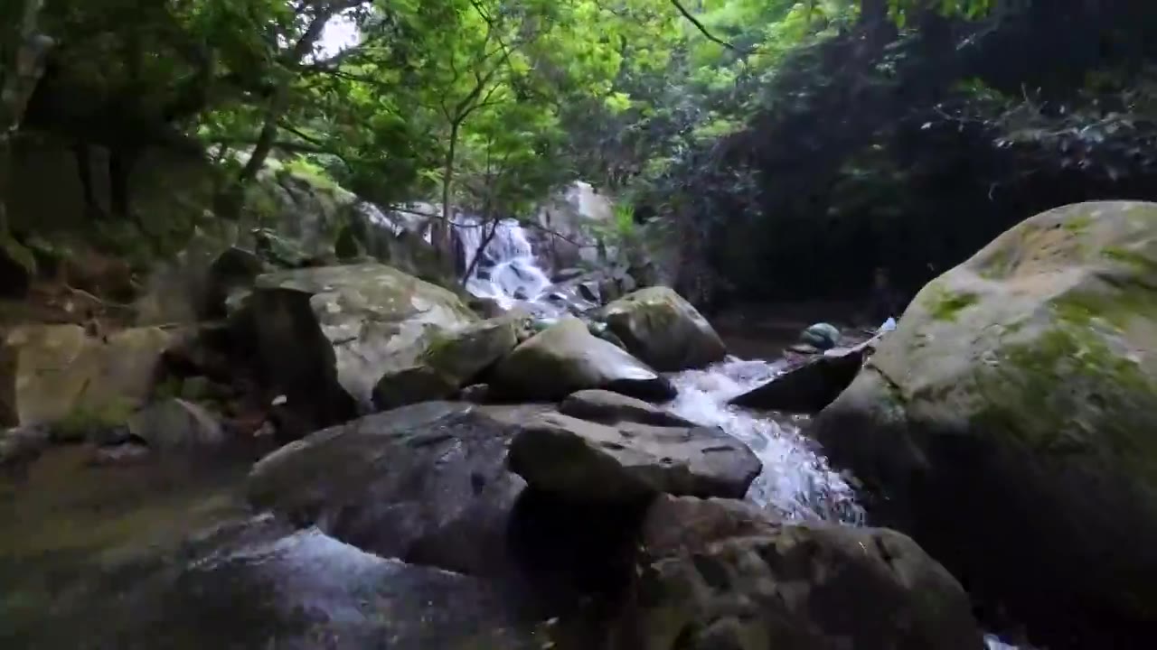 航拍深圳梧桐山麻水凤林间小溪风光视频下载