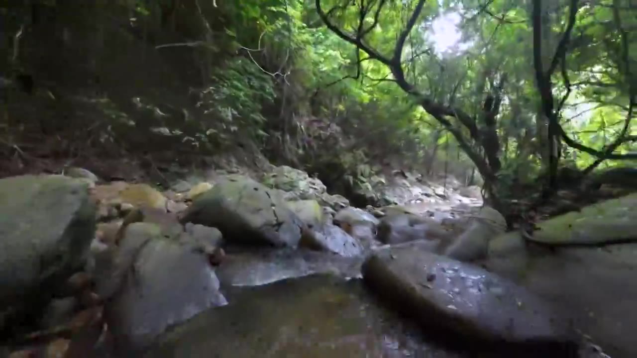 航拍深圳梧桐山麻水凤林间小溪风光视频下载