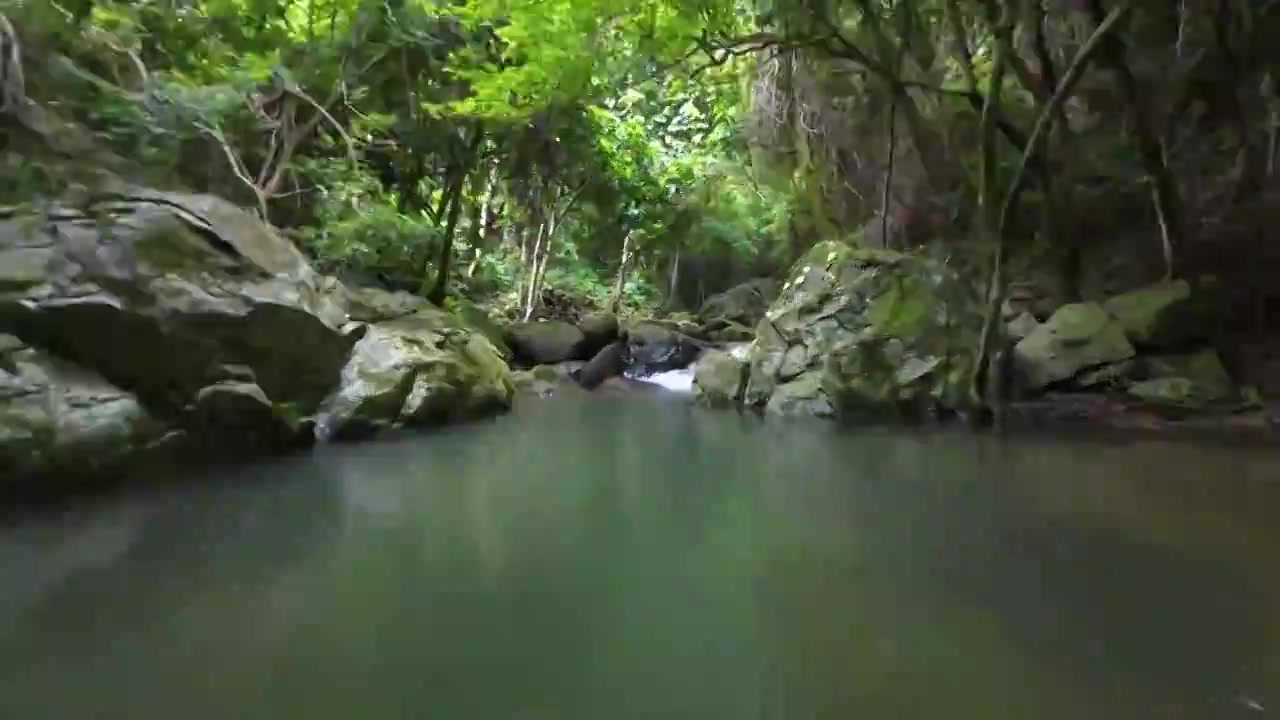 航拍深圳梧桐山麻水凤林间小溪风光视频素材