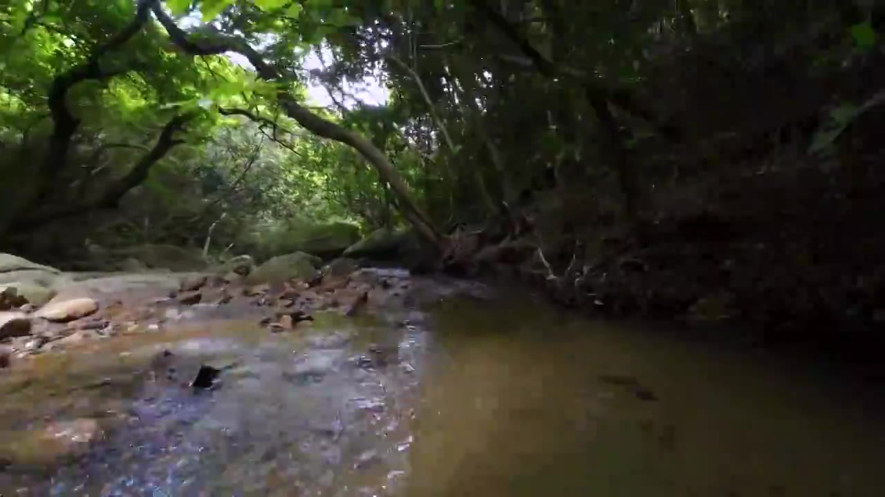 航拍深圳梧桐山麻水凤林间小溪风光视频下载