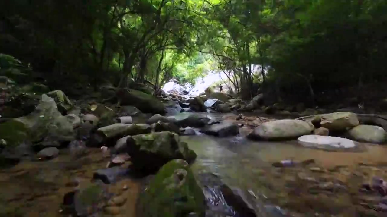 航拍深圳梧桐山麻水凤林间小溪风光视频素材