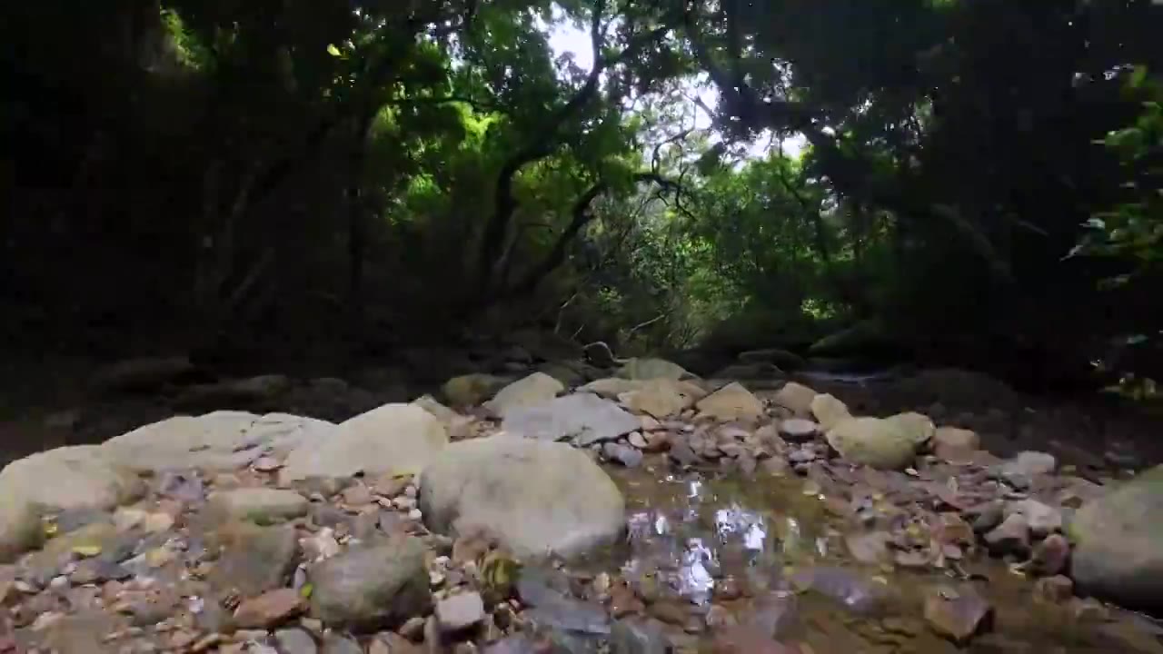 航拍深圳梧桐山麻水凤林间小溪风光视频下载