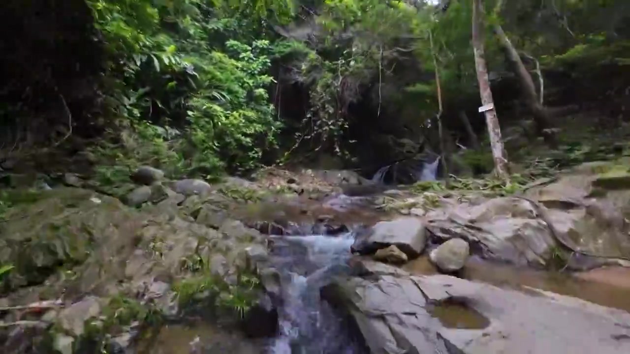 航拍深圳梧桐山麻水凤林间小溪风光视频下载