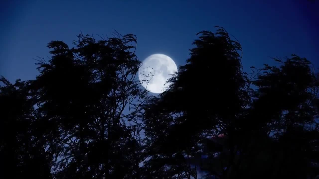 中秋节满月树影月亮城市月亮升起合集视频下载