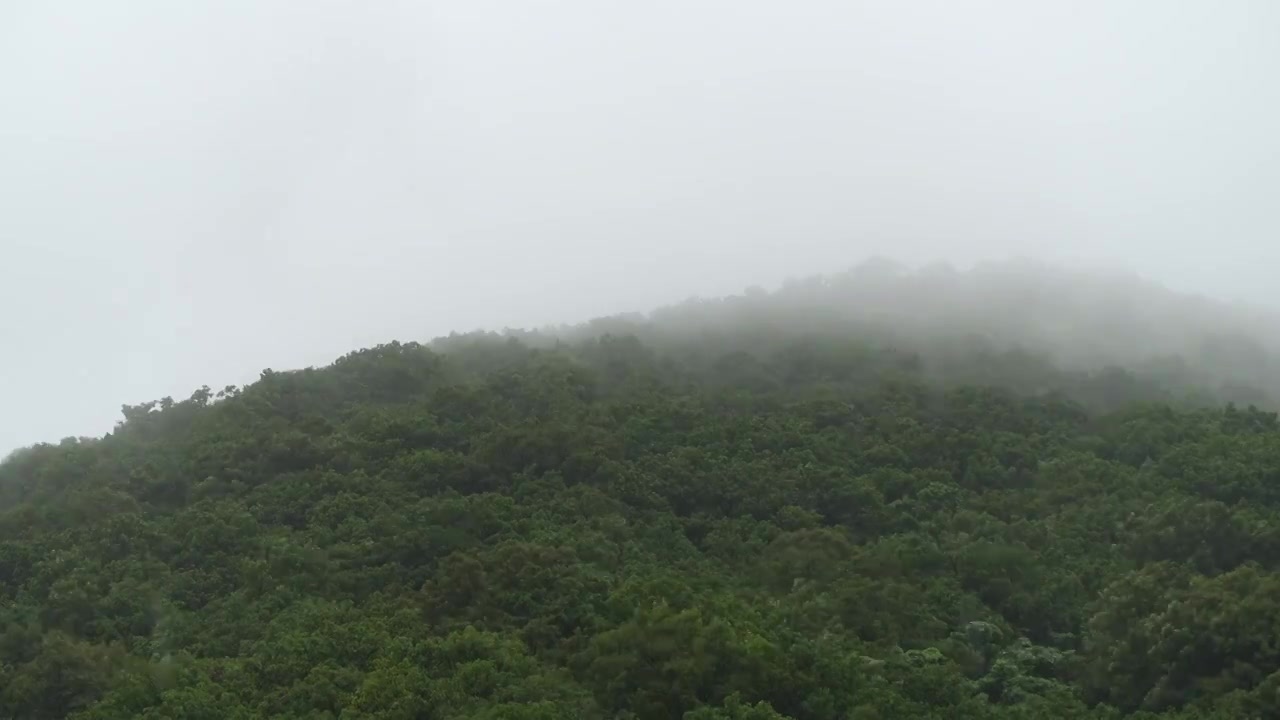 下雨天山上雾气缭绕延时视频下载