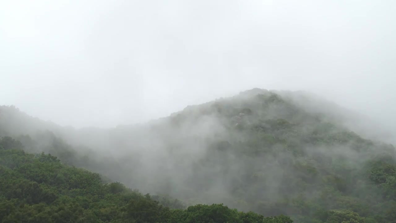 下雨天山上雾气缭绕延时视频下载