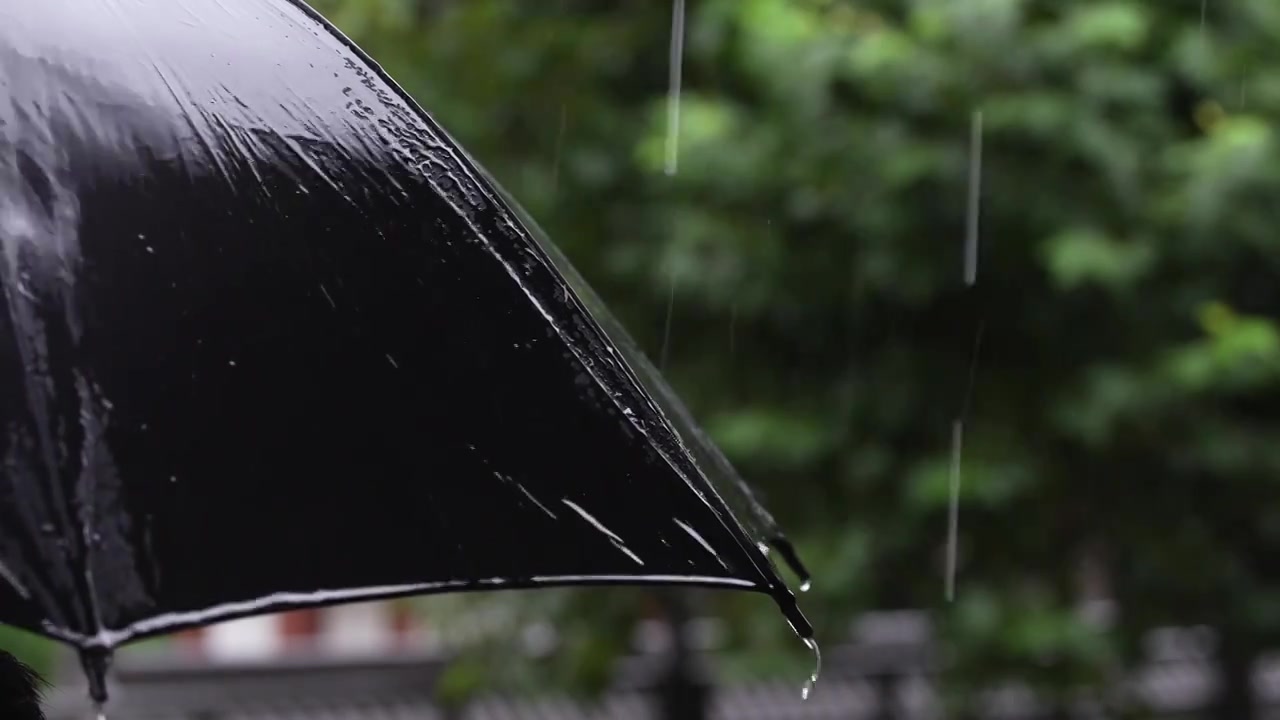 雨天雨滴落在黑色的雨伞上视频素材