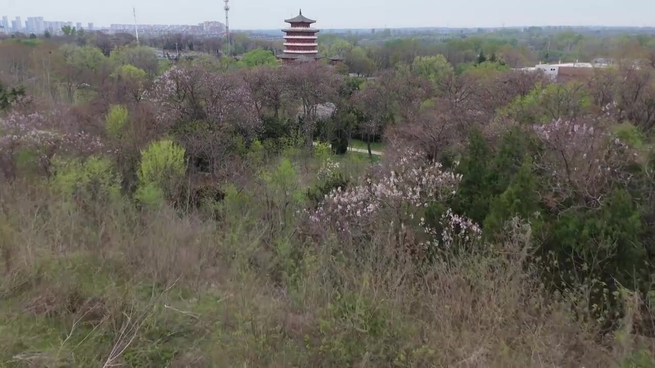 春天的思念果岭鹳雀楼视频下载