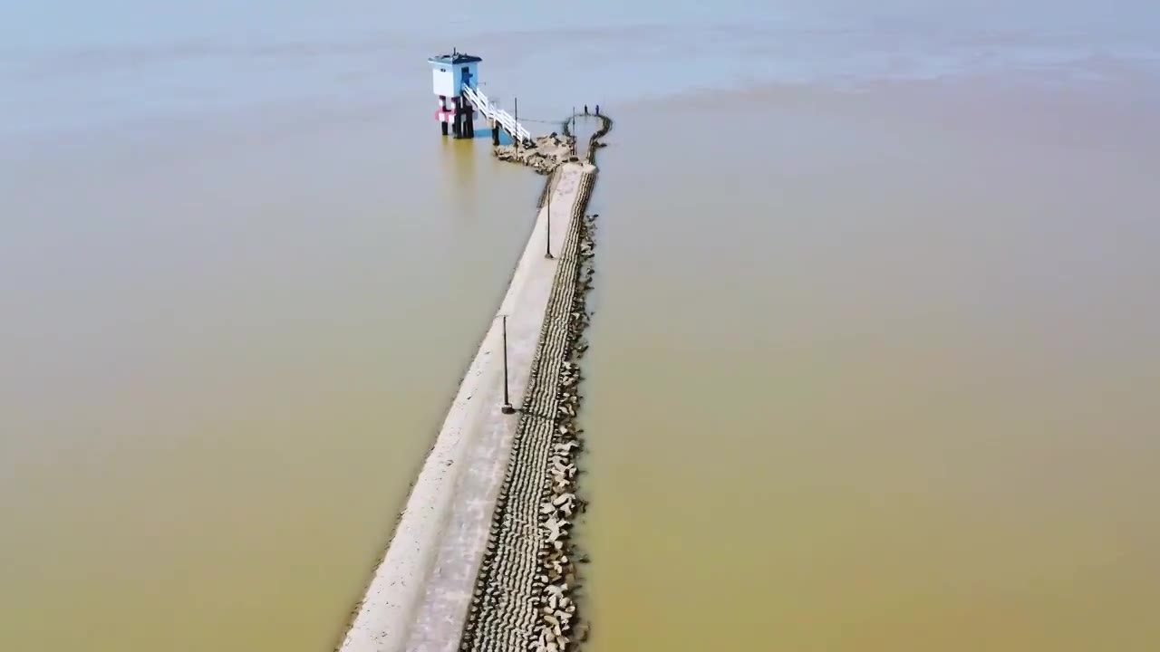 上海市崇明区-横沙岛湿地航拍视频素材