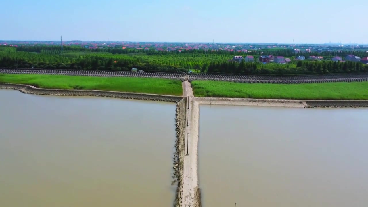 上海市崇明区-横沙岛湿地航拍视频素材