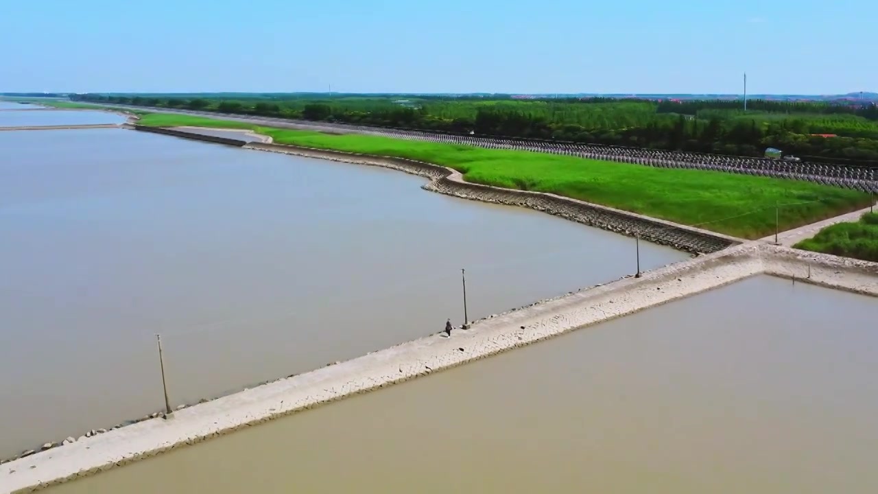 上海市崇明区-横沙岛湿地航拍视频素材