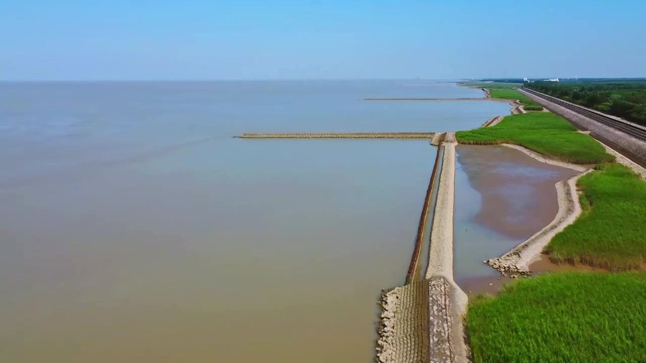 上海市崇明区-横沙岛湿地航拍视频素材