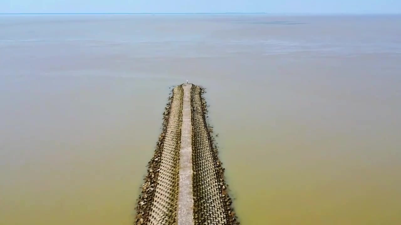 上海市崇明区-横沙岛湿地航拍视频素材