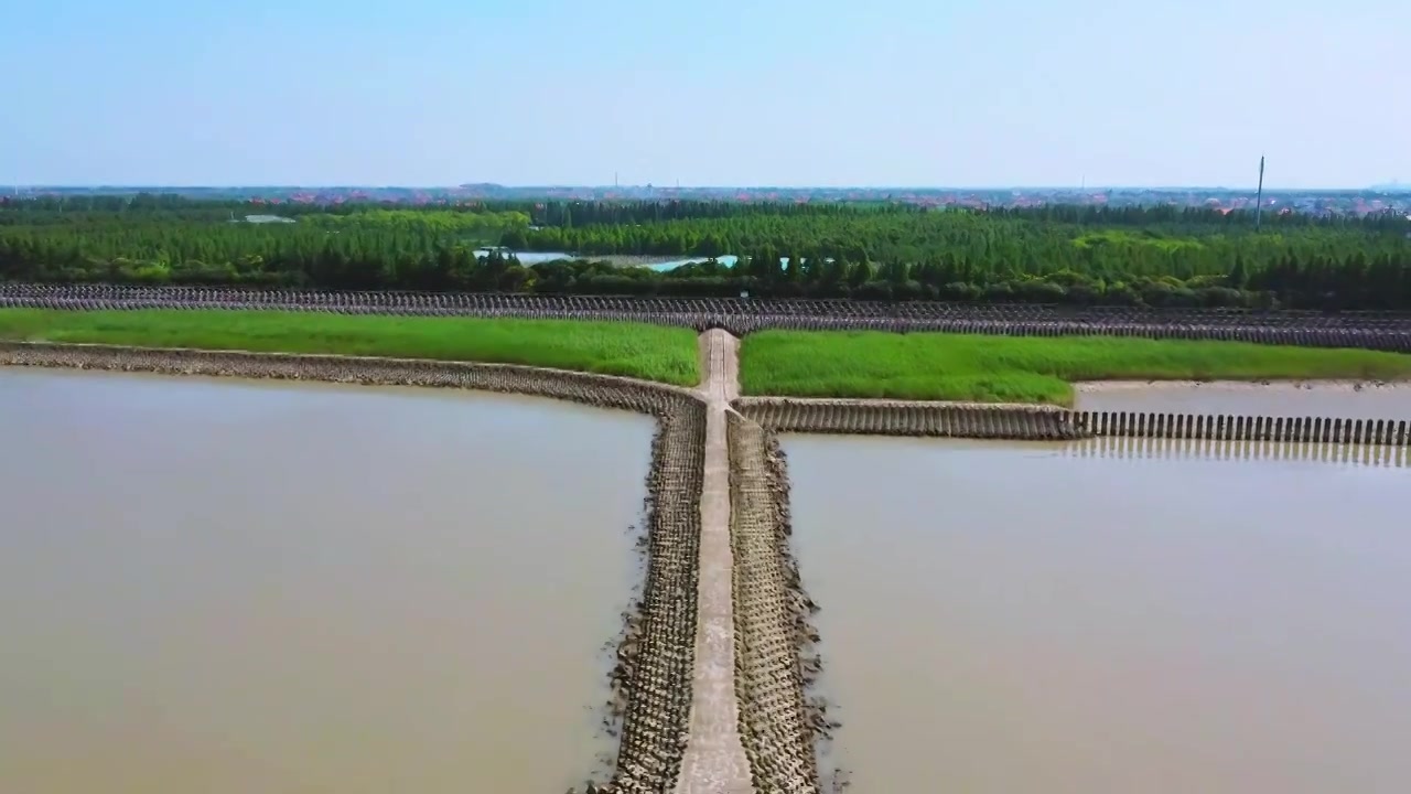 上海市崇明区-横沙岛湿地航拍视频素材