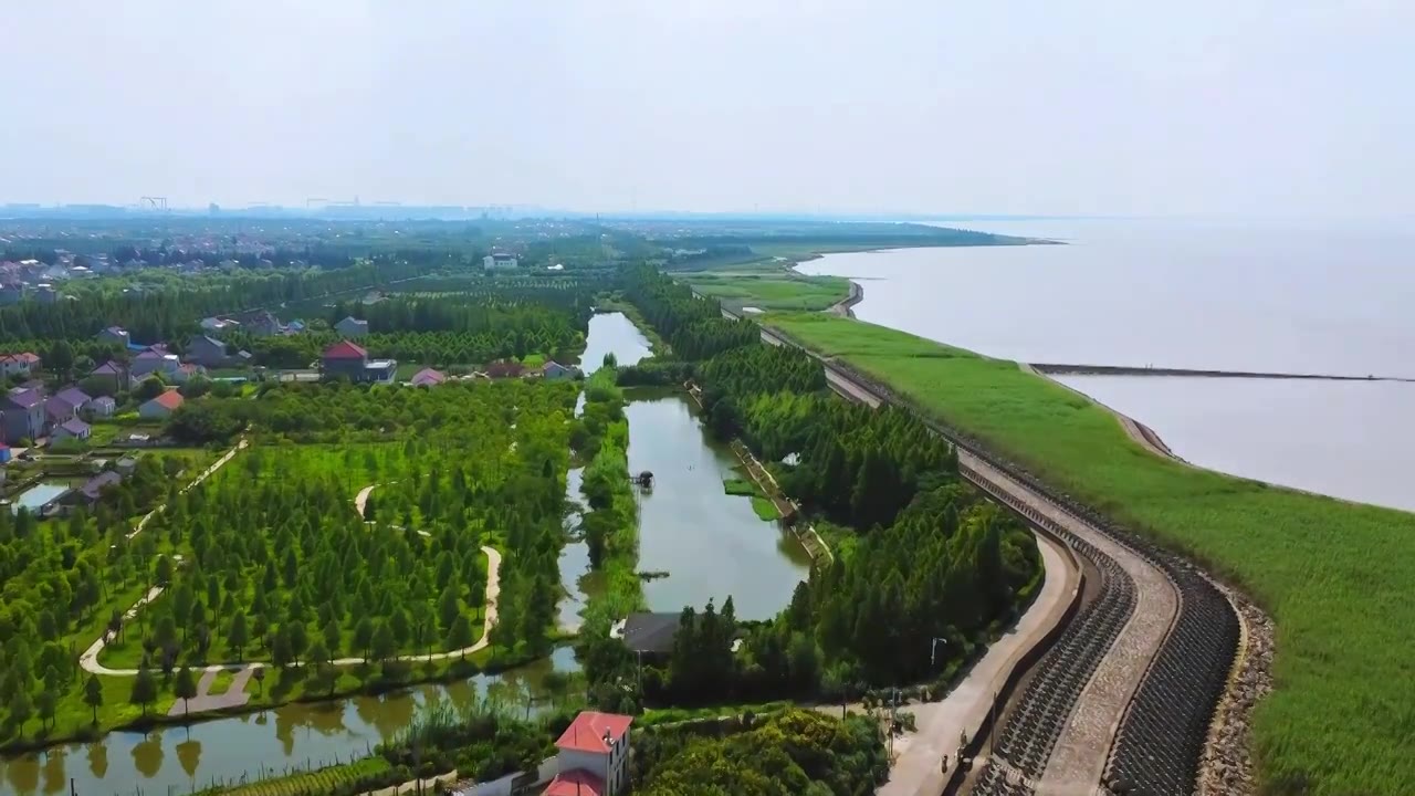 上海市崇明区-横沙岛湿地航拍视频素材