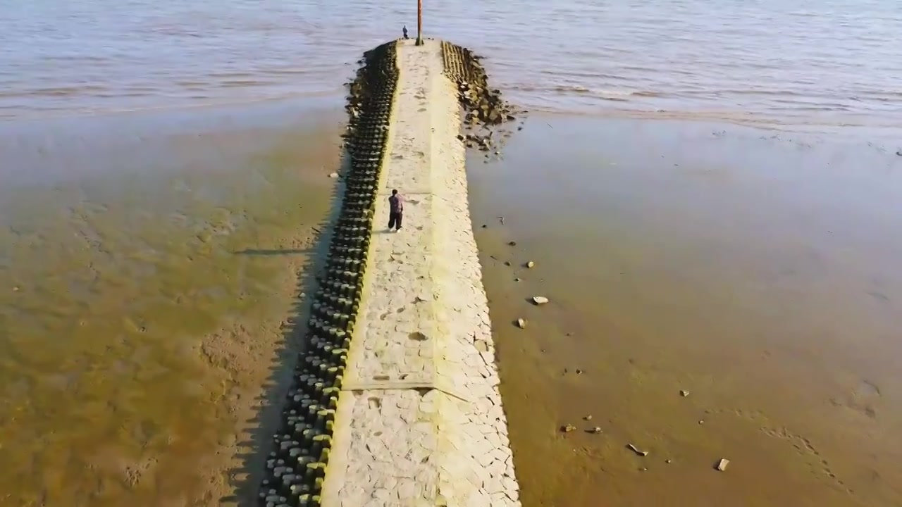 上海市崇明区-横沙岛湿地航拍视频素材