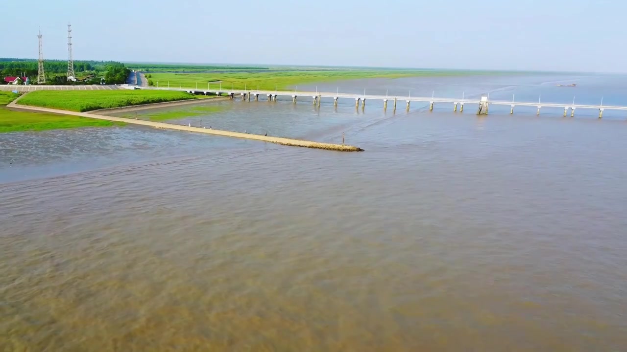 上海市崇明区-横沙岛湿地航拍视频素材