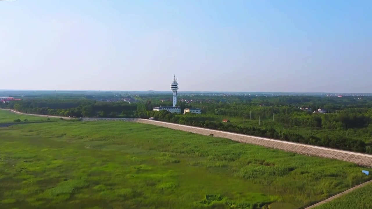 上海市崇明区-横沙岛湿地航拍视频素材