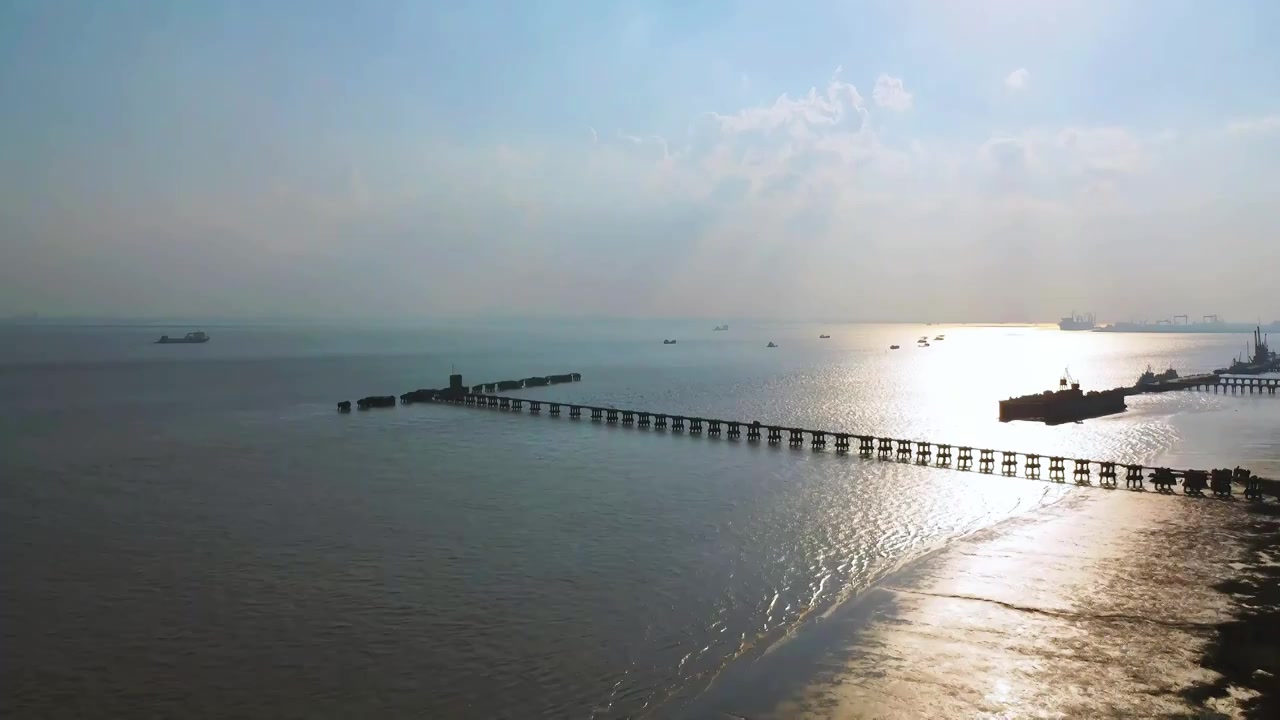 上海市崇明区-横沙岛湿地航拍视频素材