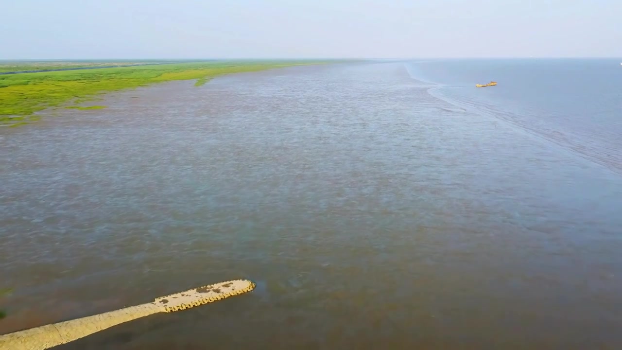 上海市崇明区-横沙岛湿地航拍视频下载